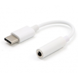 ADATTATORE DA SPINA USB...