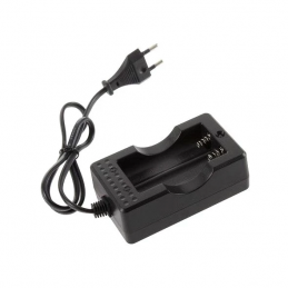 CARICABATTERIE PER 2...